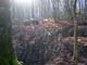PICT0321