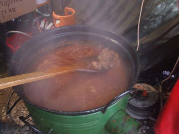 DSCF0332