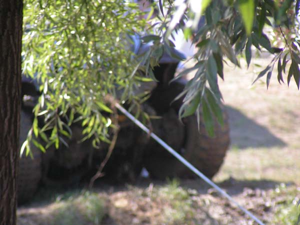 PICT5347
