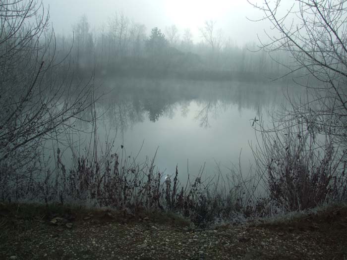 DSCF2672