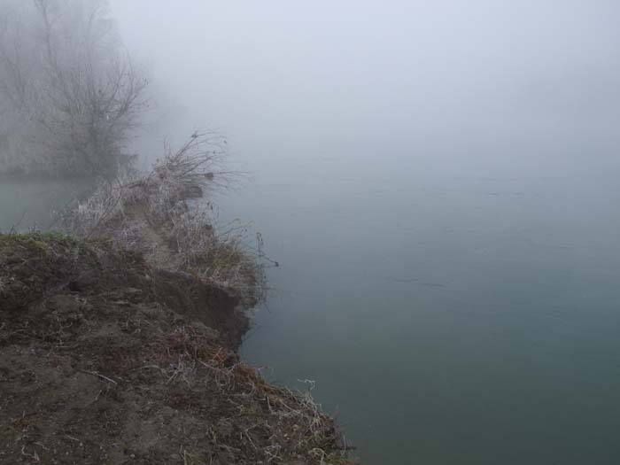 DSCF2695