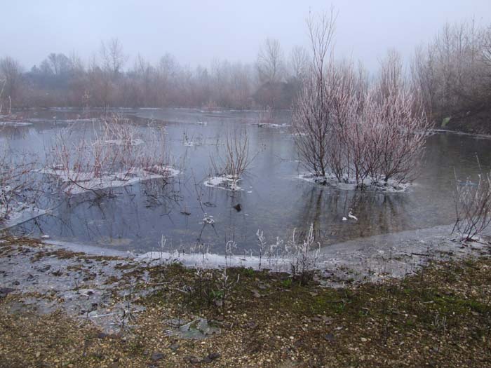 DSCF2775